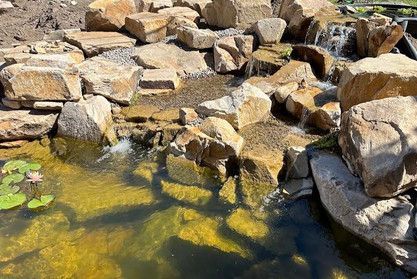 A pond surrounded by rocks and water lilies with a waterfall in the background.
