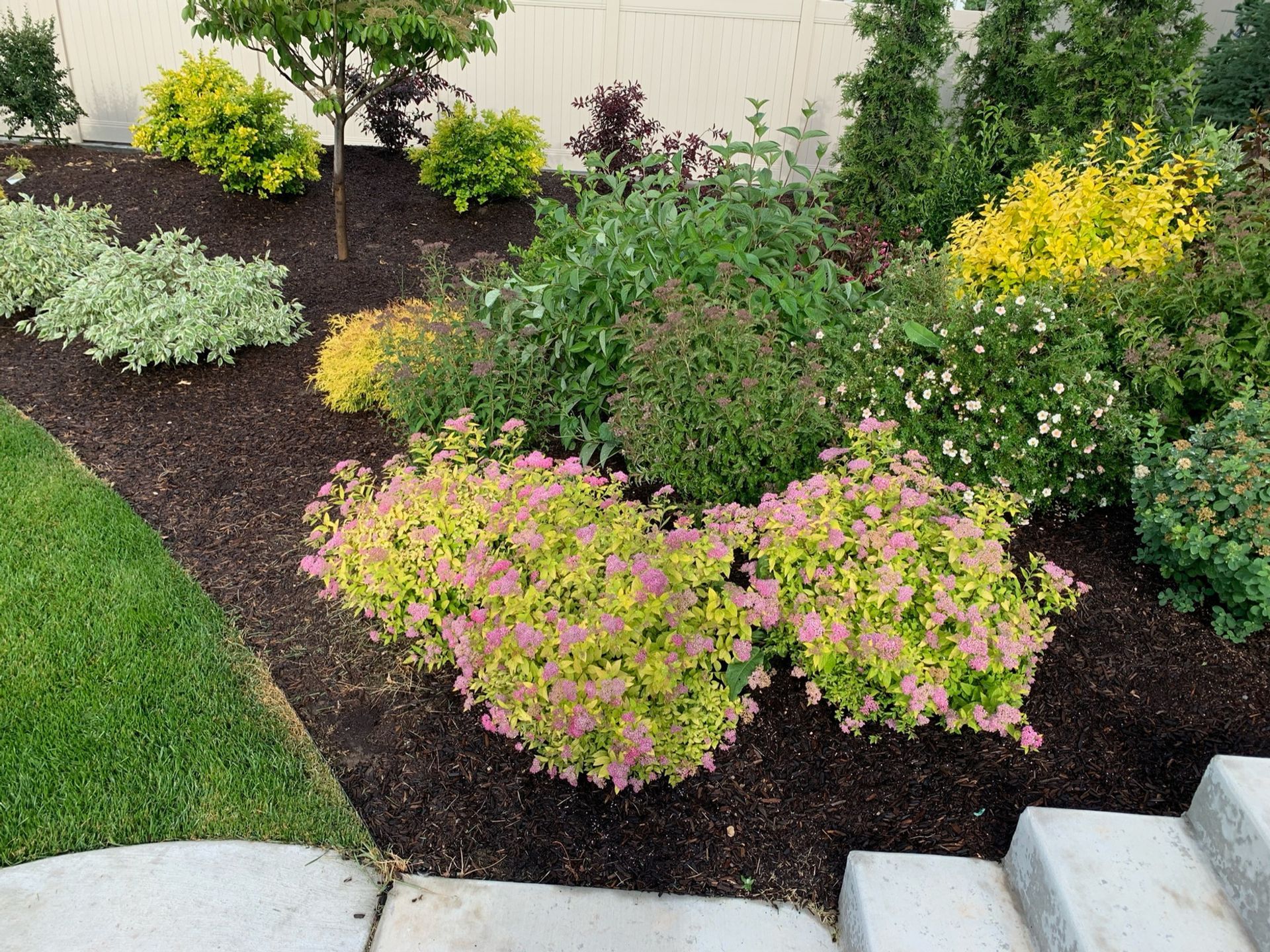 A garden with a lot of plants and flowers