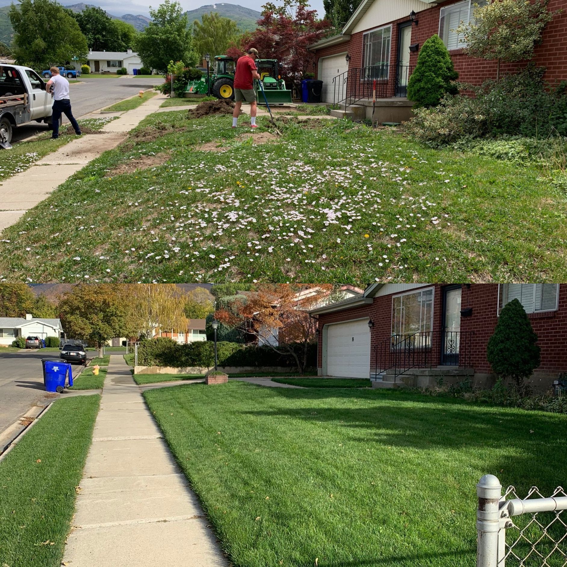 A man is raking a lush green lawn in front of a brick house