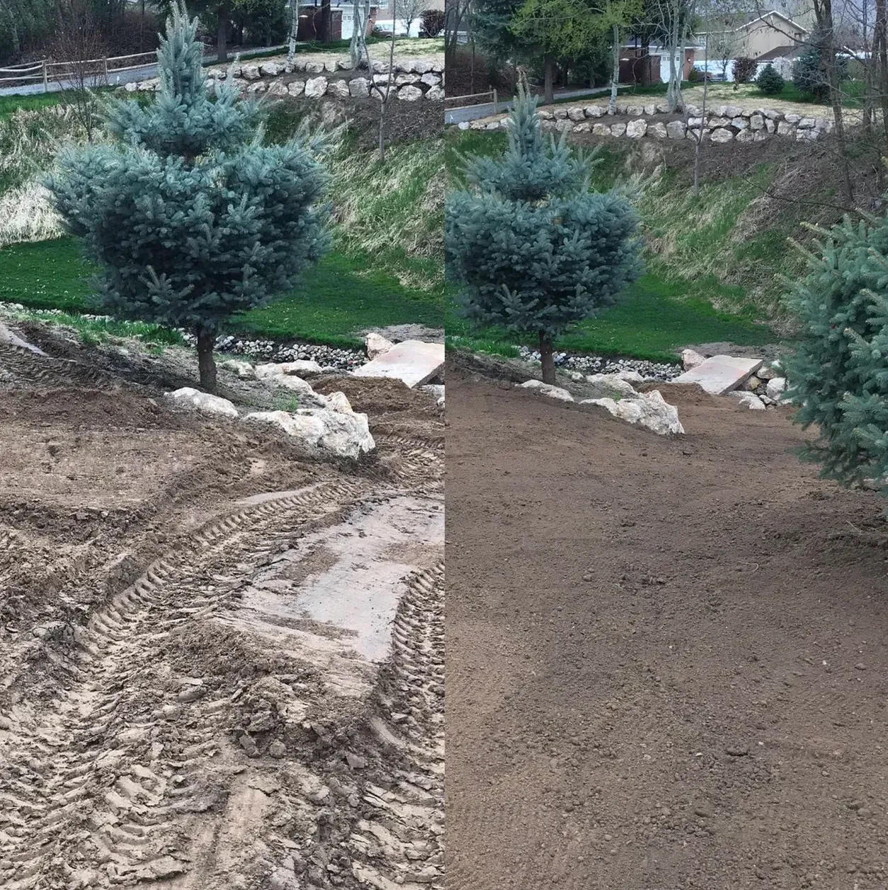 A before and after picture of a lawn with trees and dirt.