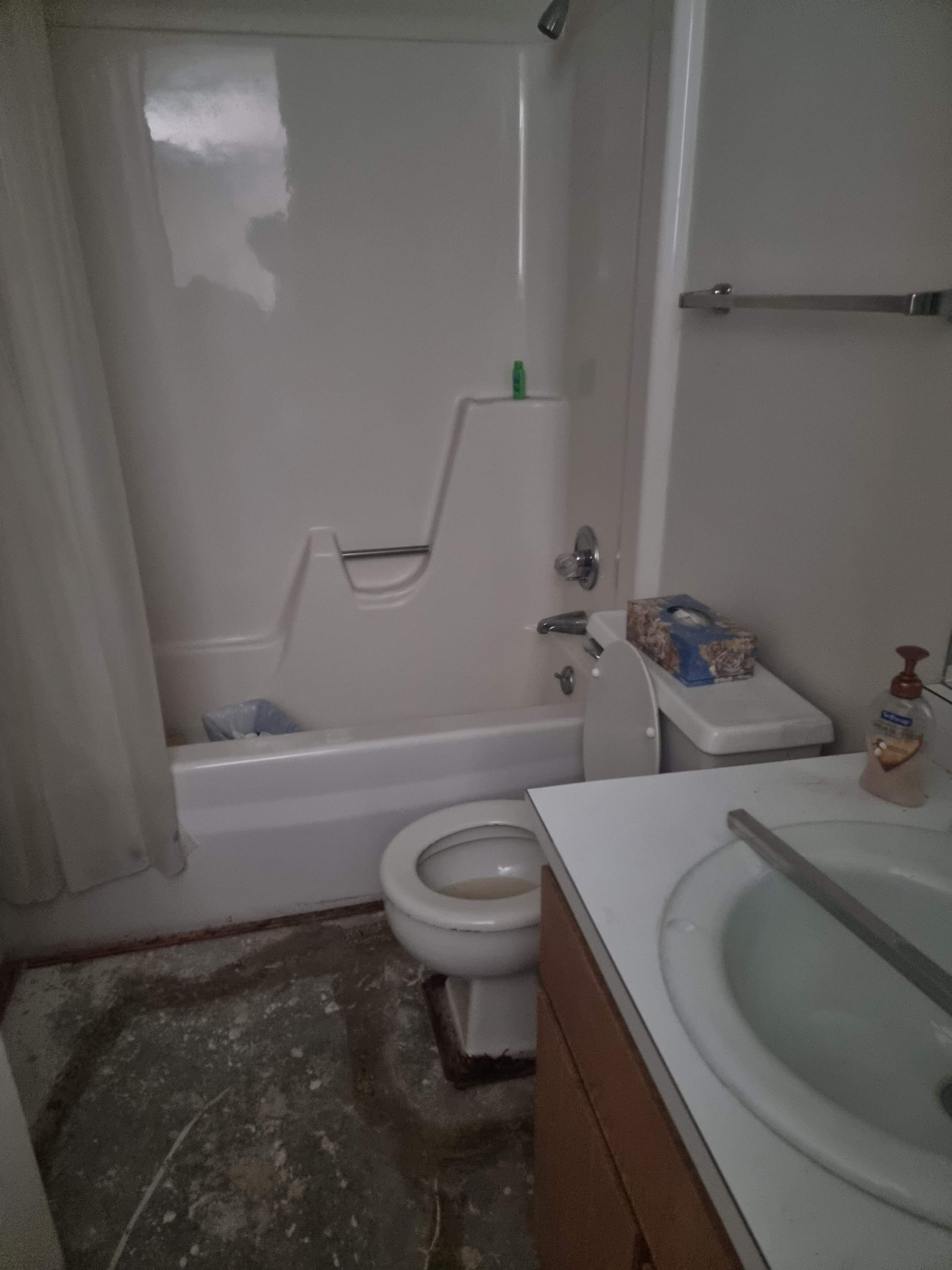 Shower renovation before with outdated shower-tub 