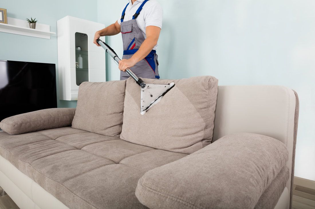 Chris vacuuming couch upholstery
