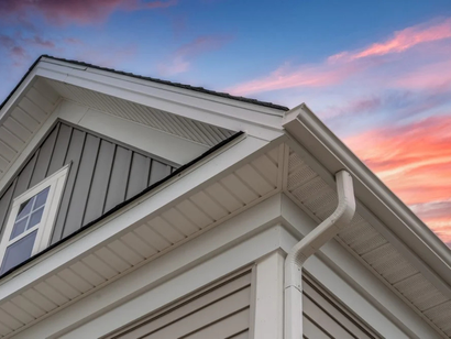 The roof of a house with a gutter and a window.