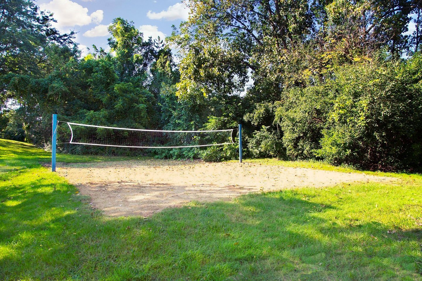 A volleyball court in a park with trees in the background.