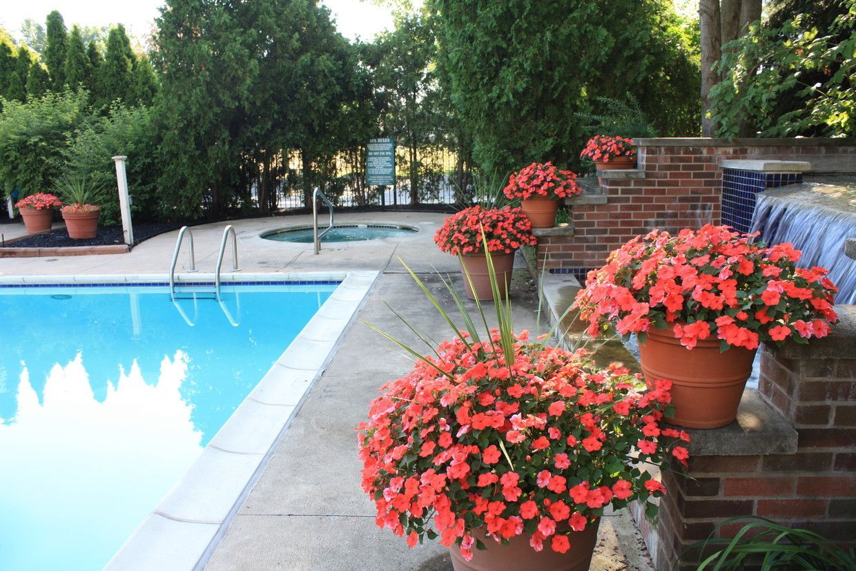 A swimming pool surrounded by potted flowers and a waterfall