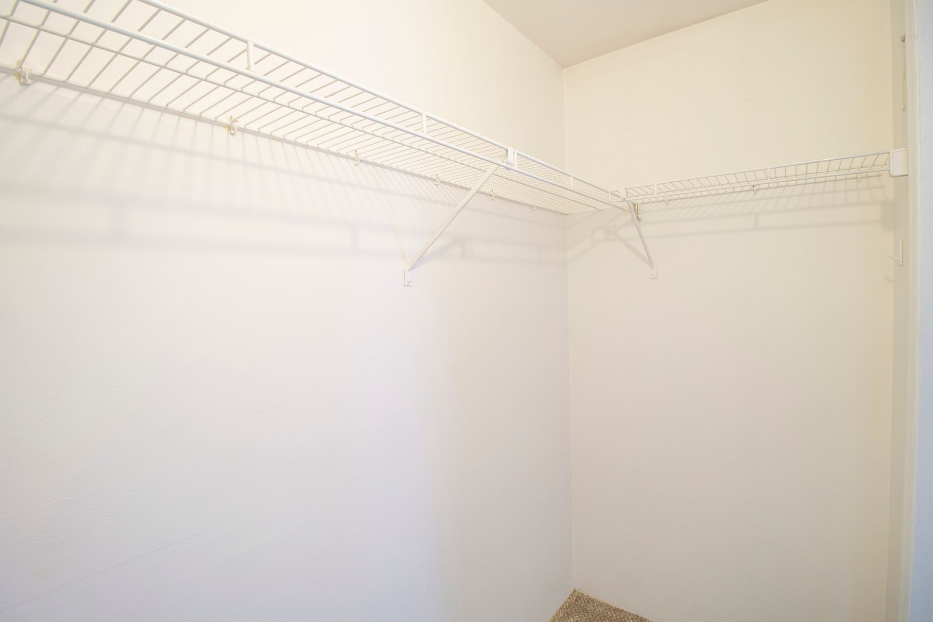 An empty walk in closet with a wire rack.
