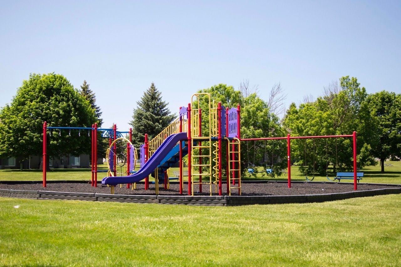 A colorful playground in a park with trees in the background.