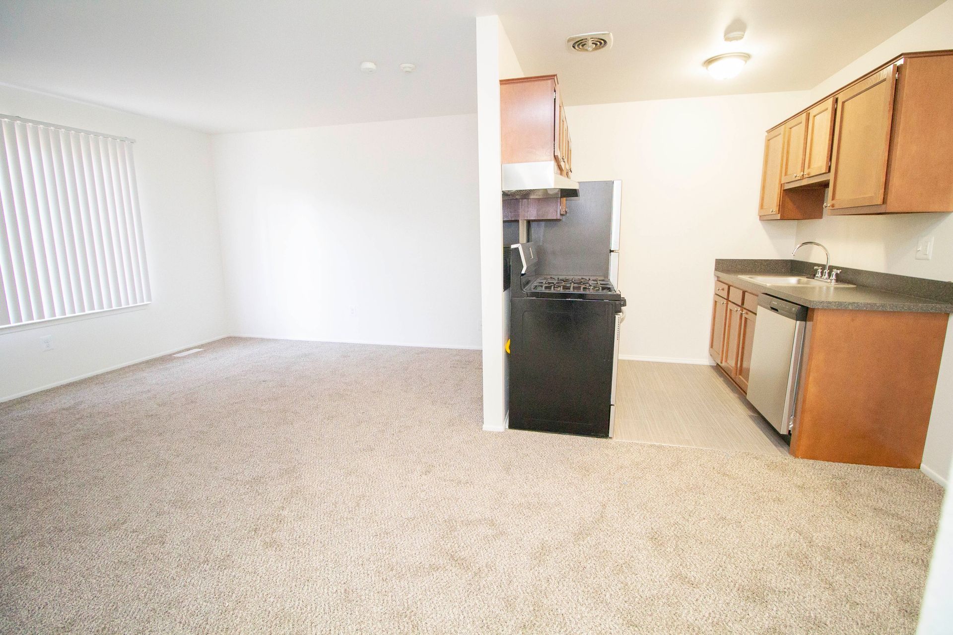 An empty apartment with a kitchen and a living room