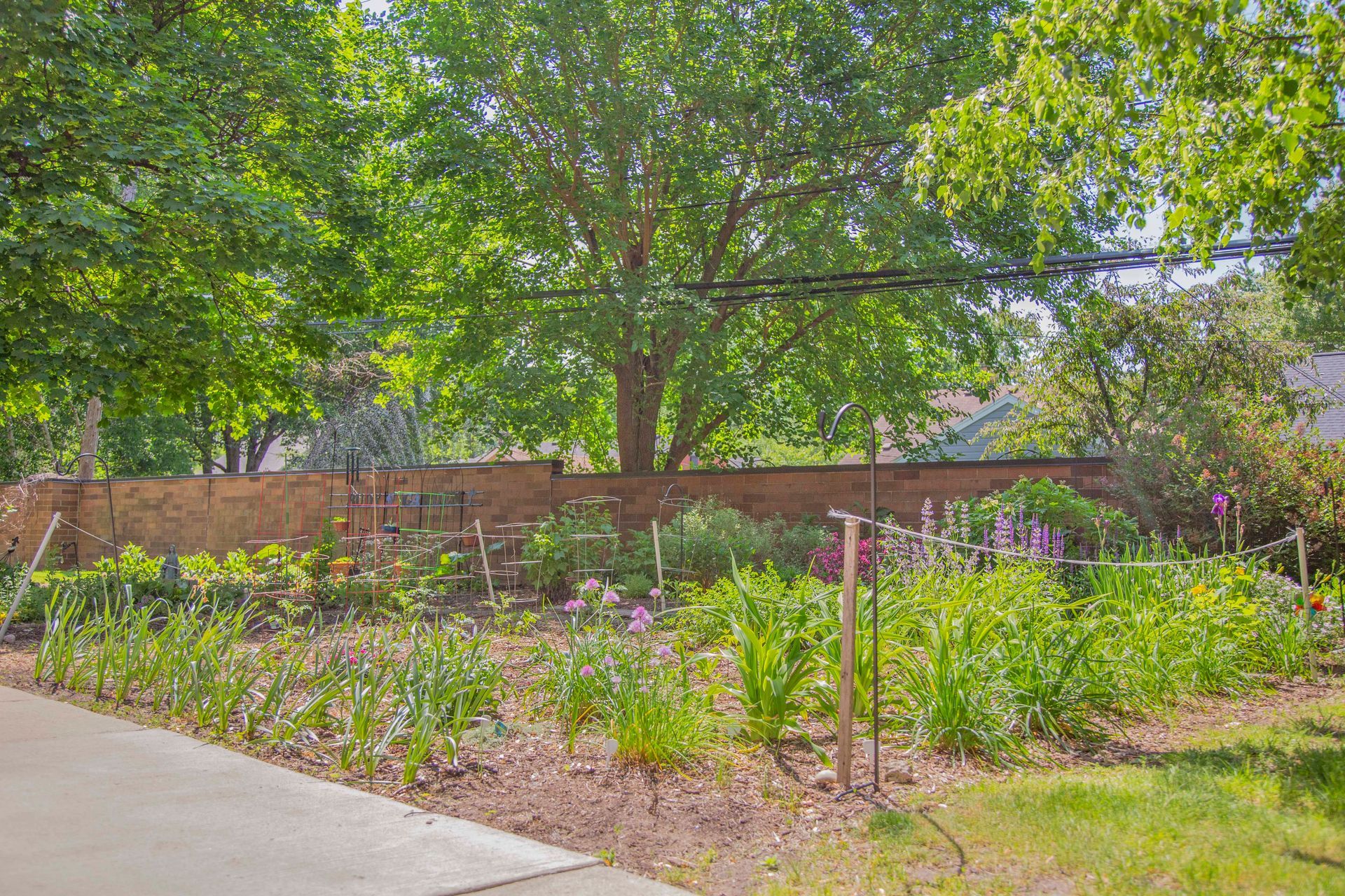 A brick wall surrounds a garden with lots of plants and trees.