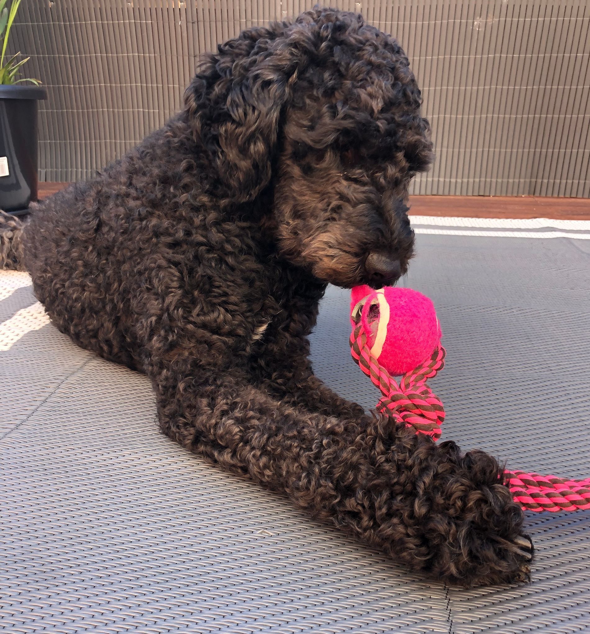 Neo Staff member photo