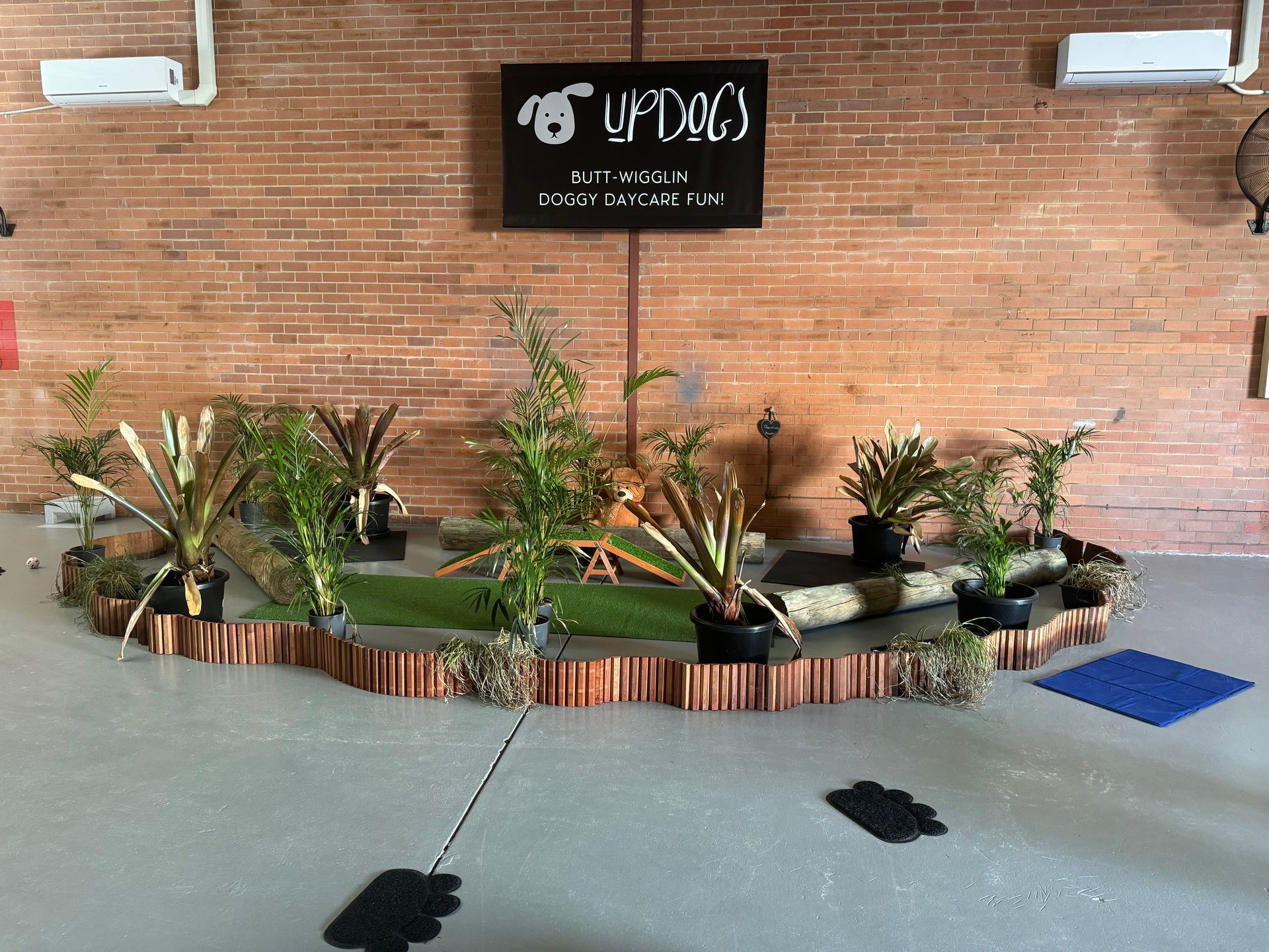 Sensory indoor forest photo