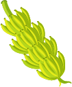 ilustração de cacho de banana verde