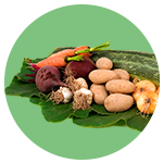 Vegetais sortidos
