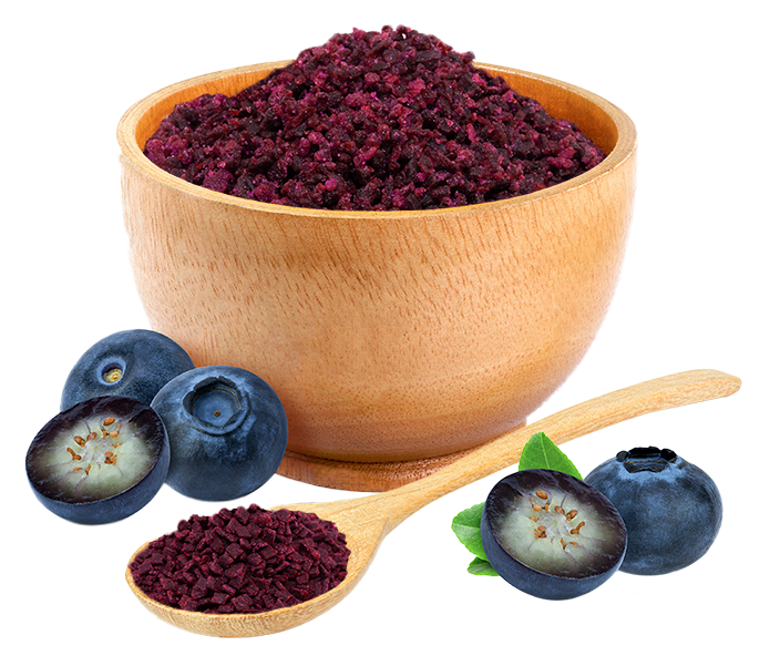 bowl e colher com blueberry granulada