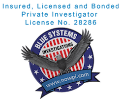 Blue Systems International logo