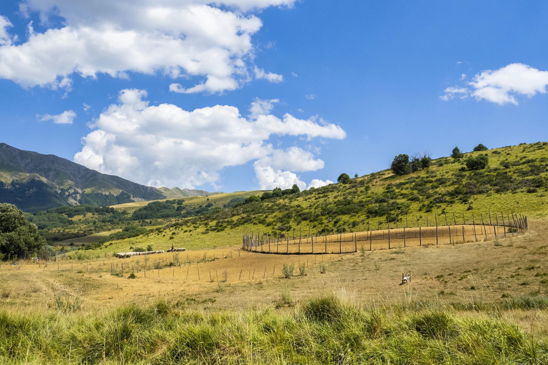 Highland Private Investigators