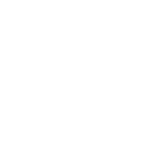 Pioneer Mooring Service logo