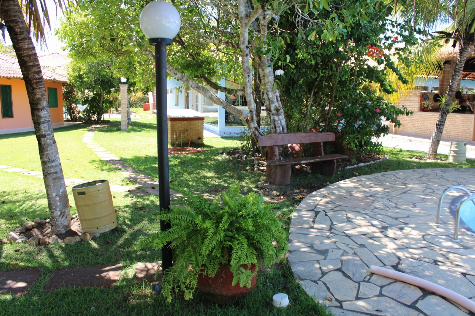 Uma planta em vaso está ao lado de um poste de luz em um jardim.