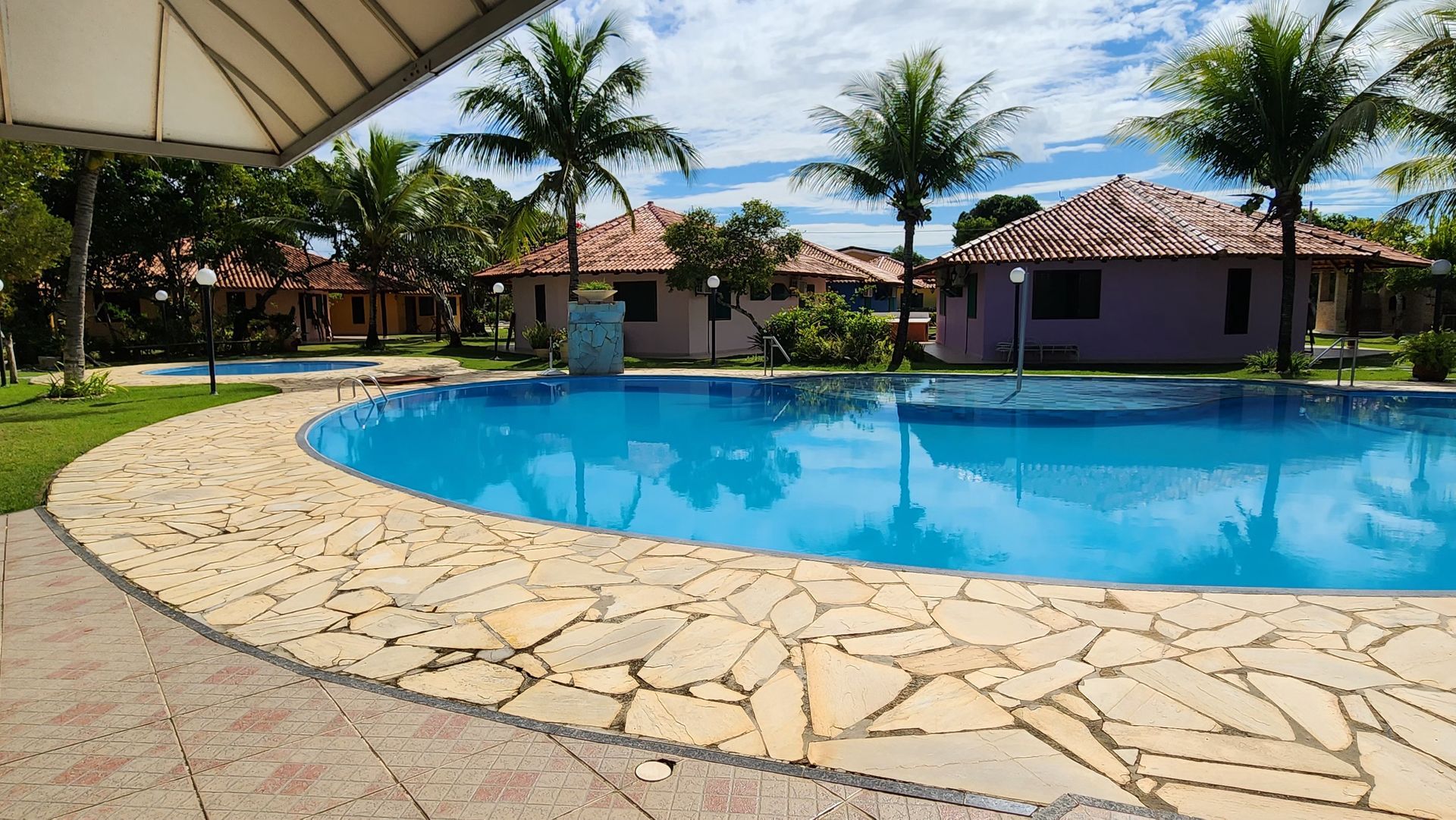 Uma grande piscina rodeada de palmeiras e casas