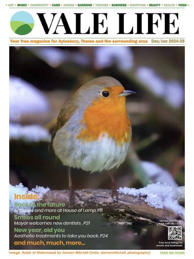Cover of Vale Life magazine featuring a close-up of a robin with a bright orange breast perched on a snow-covered branch.