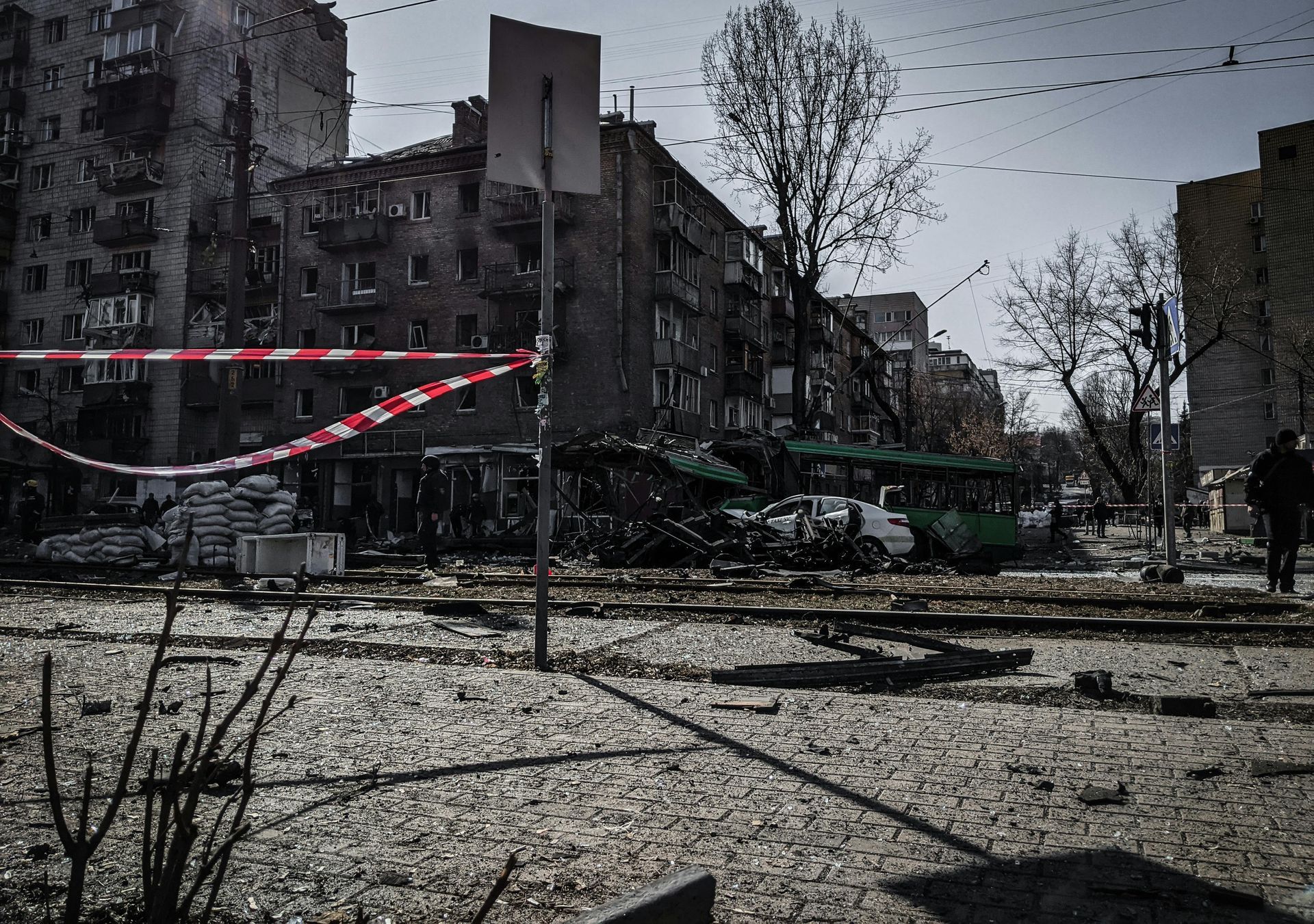 Making sense of the senseless photo