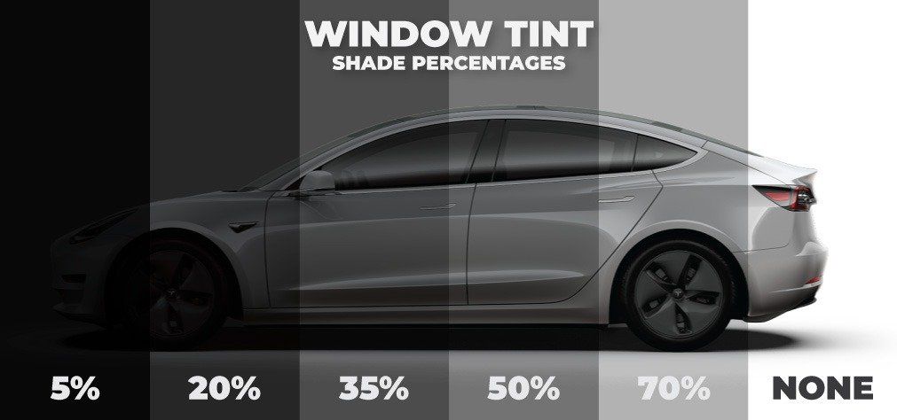 Window tinting level infographic