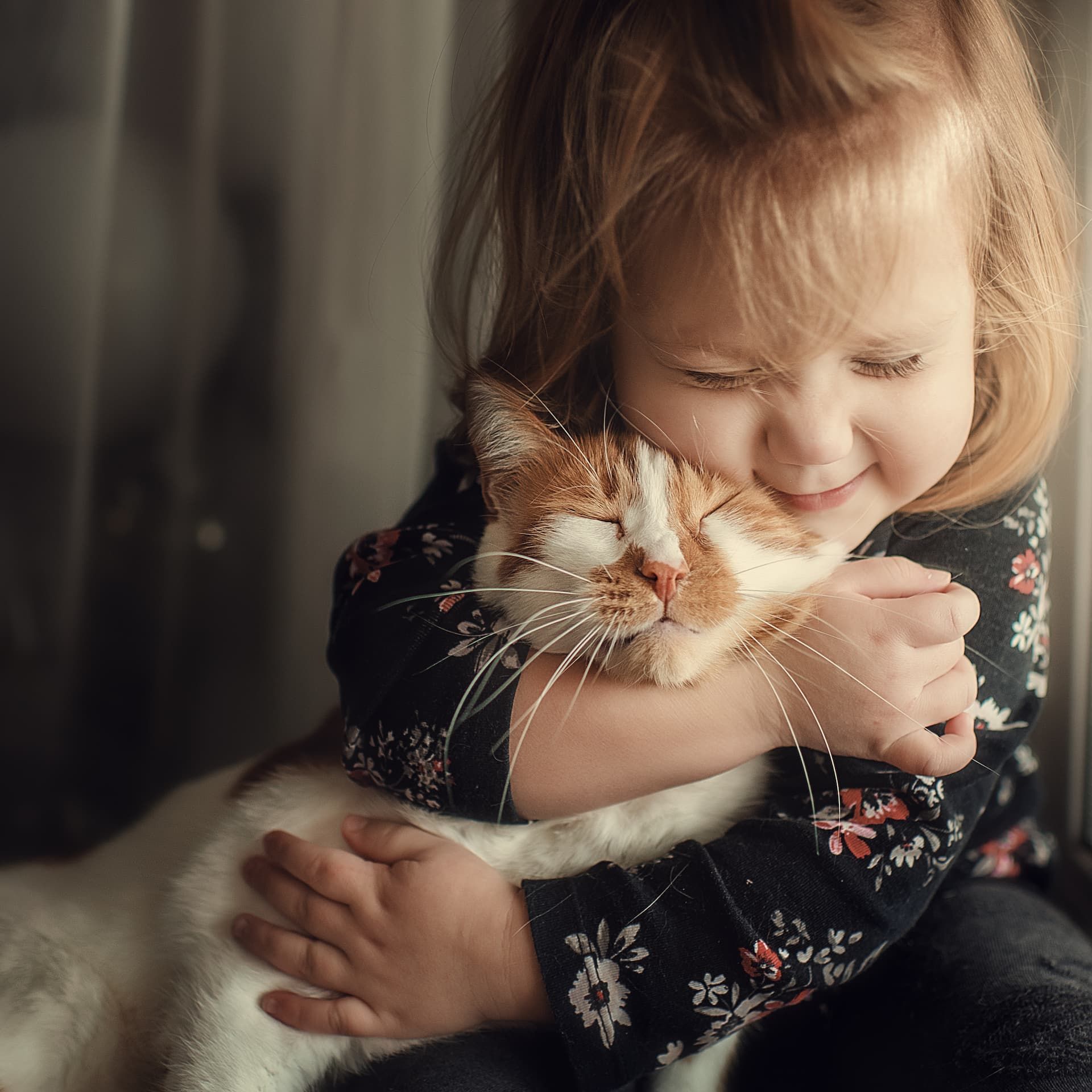 A little girl is hugging an orange and white cat