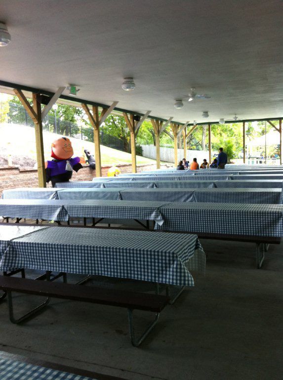 A row of picnic tables with blue and white checkered tables cloths
