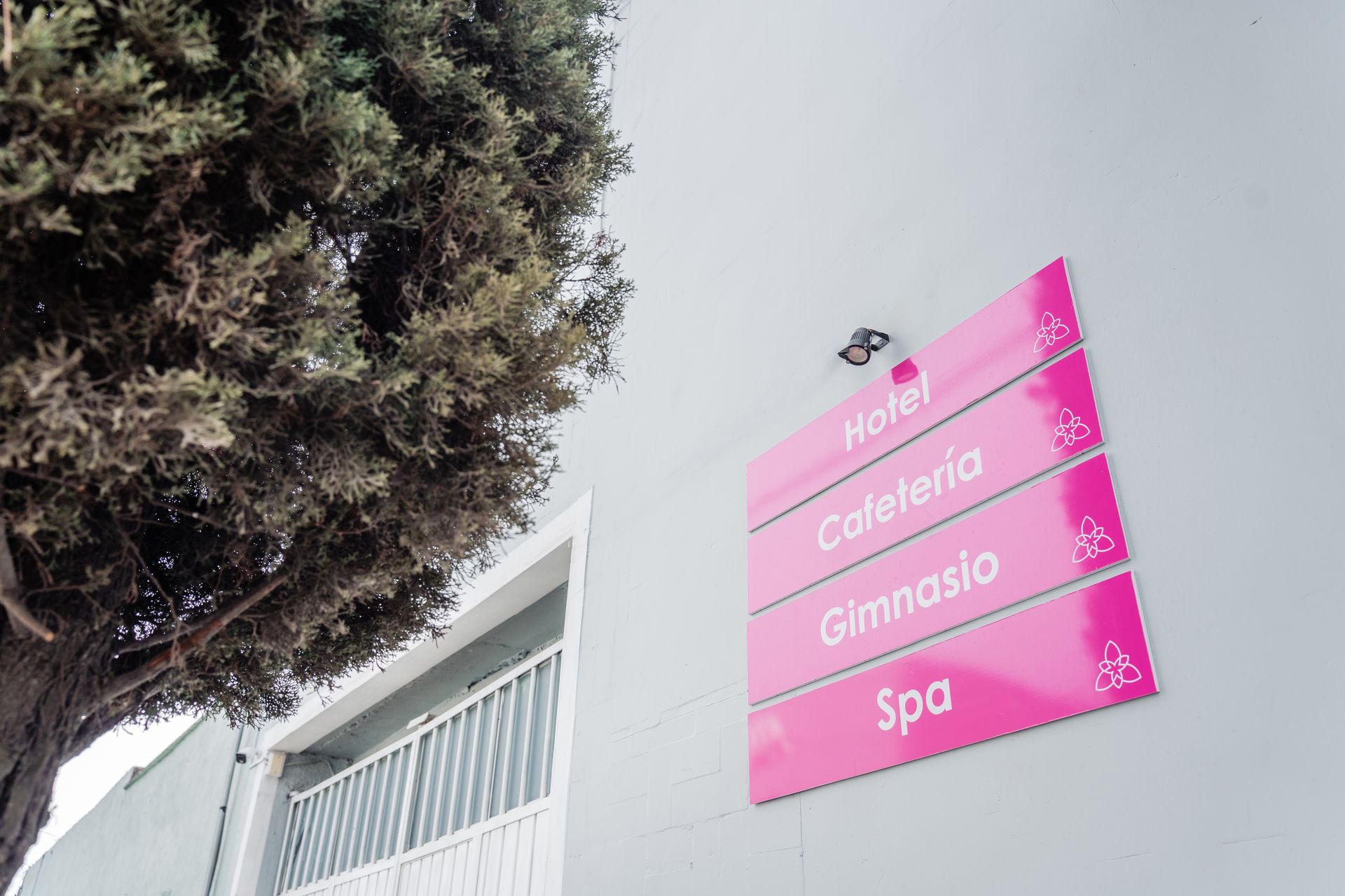 Un cartel rosa en el costado de un edificio con un árbol al fondo.