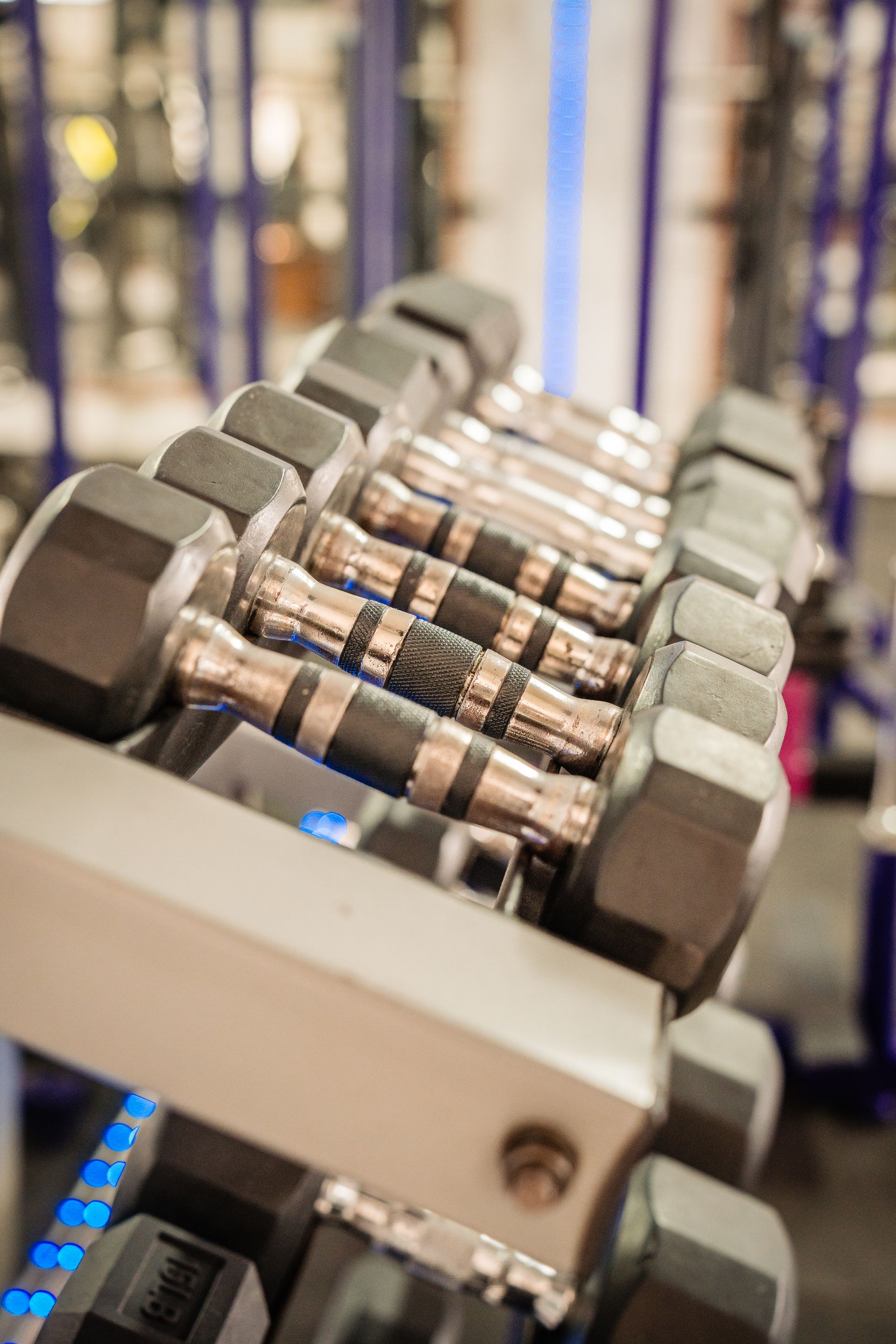 Una fila de mancuernas están alineadas en un estante en un gimnasio.