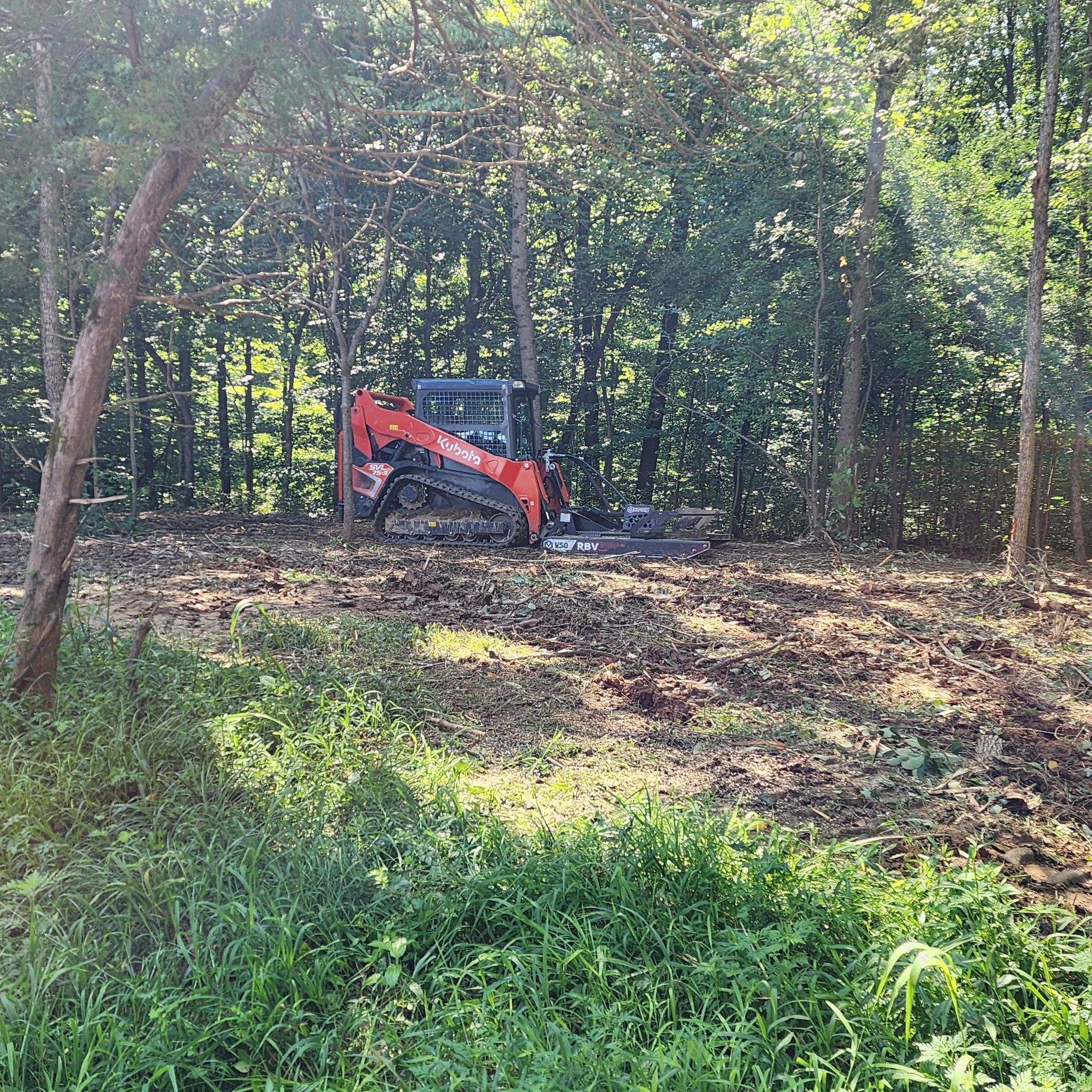 A small orange skid steer clears a forested area, surrounded by trees and green foliage.