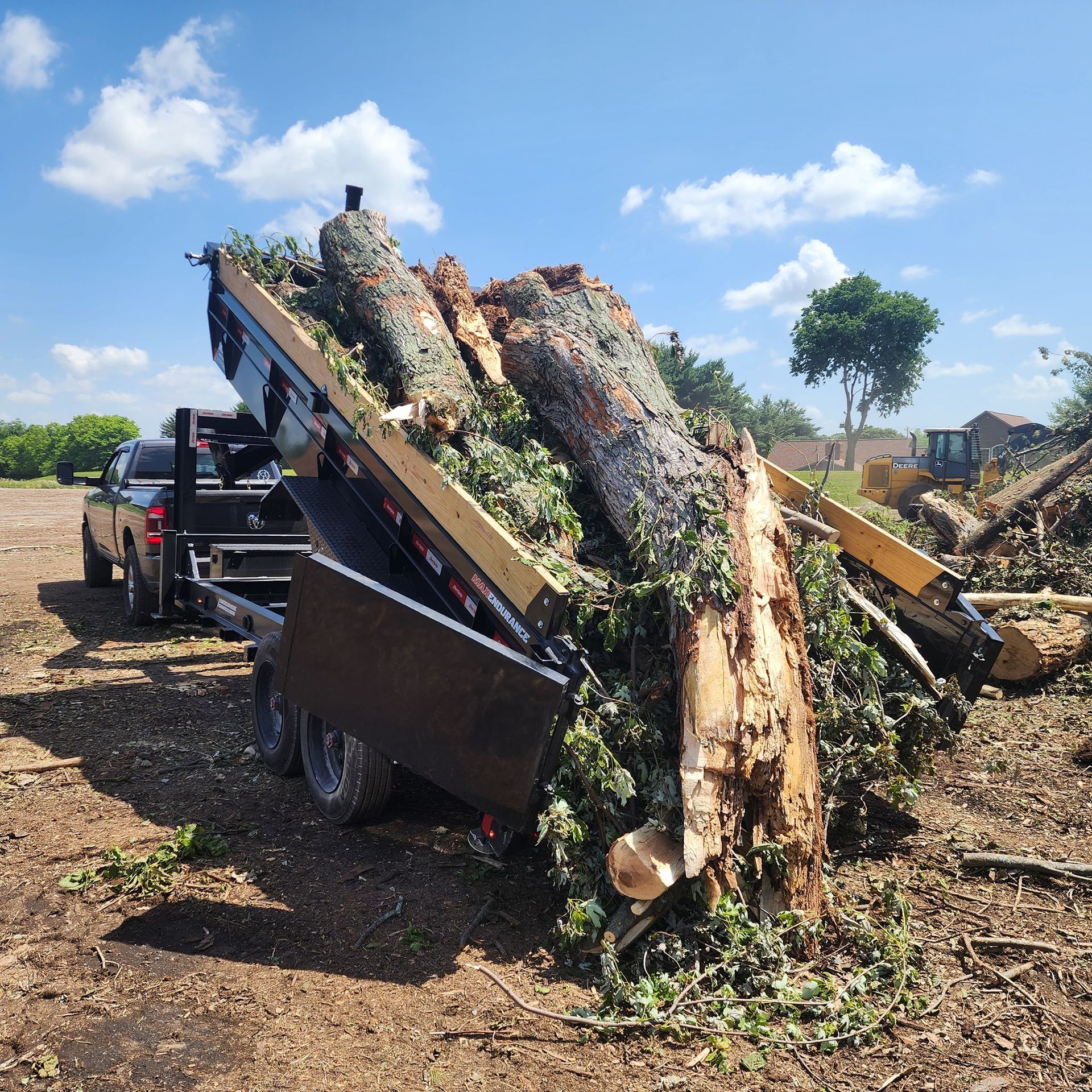 A truck hauling a trailer overflowing with tree trunks and branches under a blue sky.