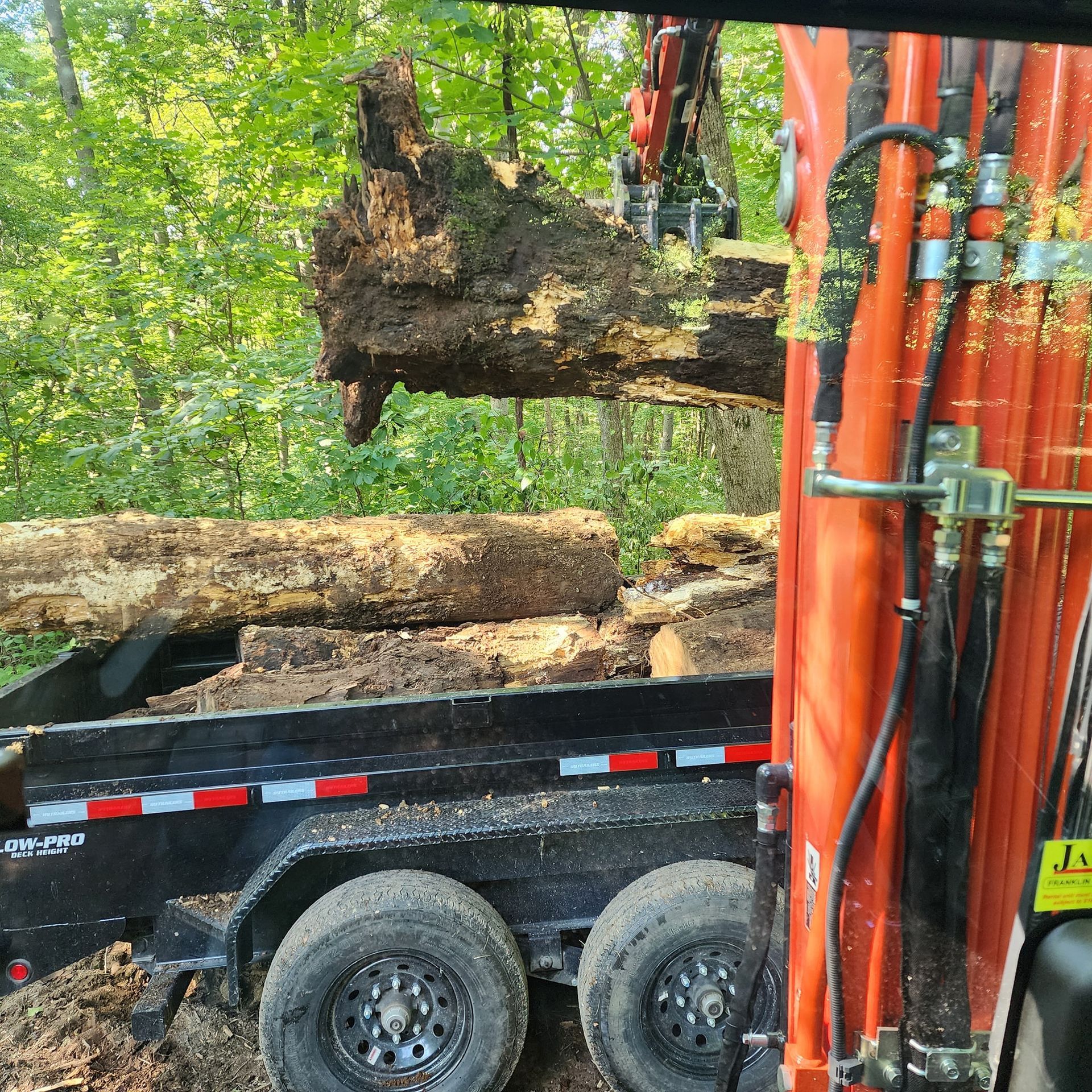 An excavator loads logs into a black trailer. Orange machine parts, green trees, and a sunny setting.