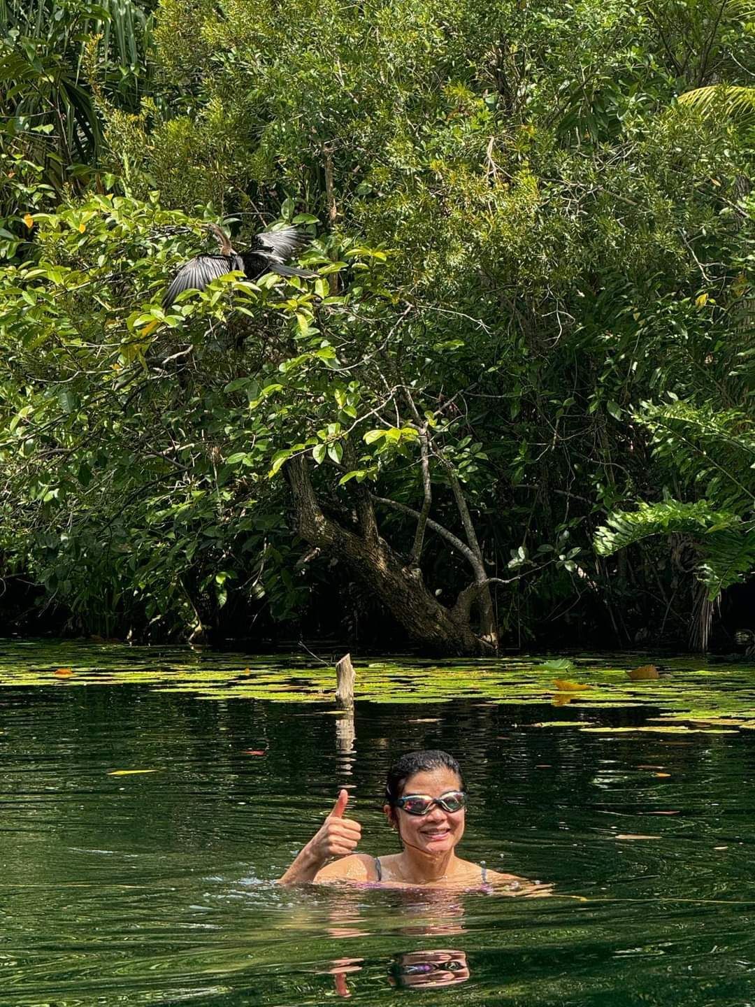 Only the best cenotes in Tulum