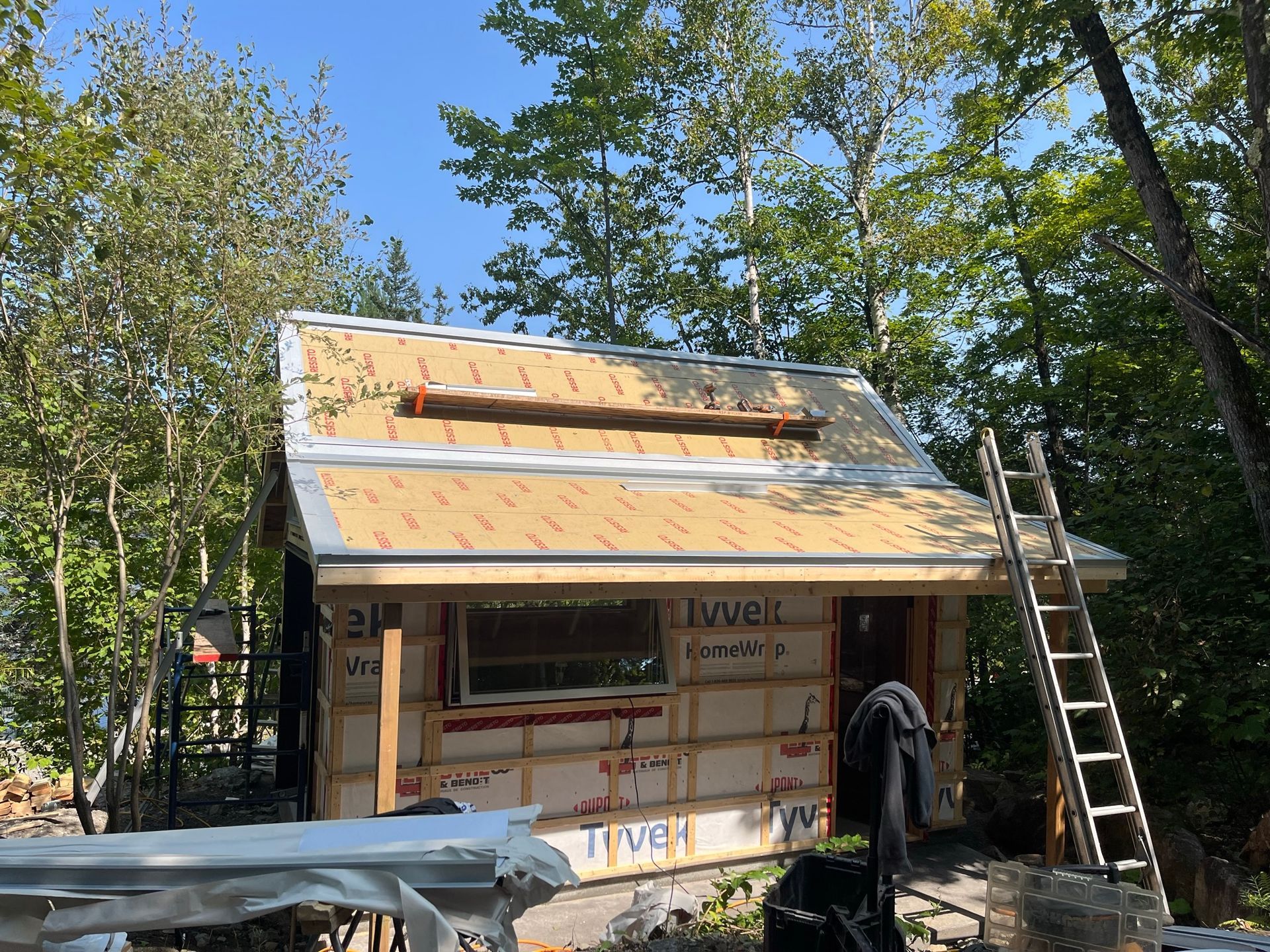 Une petite maison est en construction dans les bois avec une échelle.