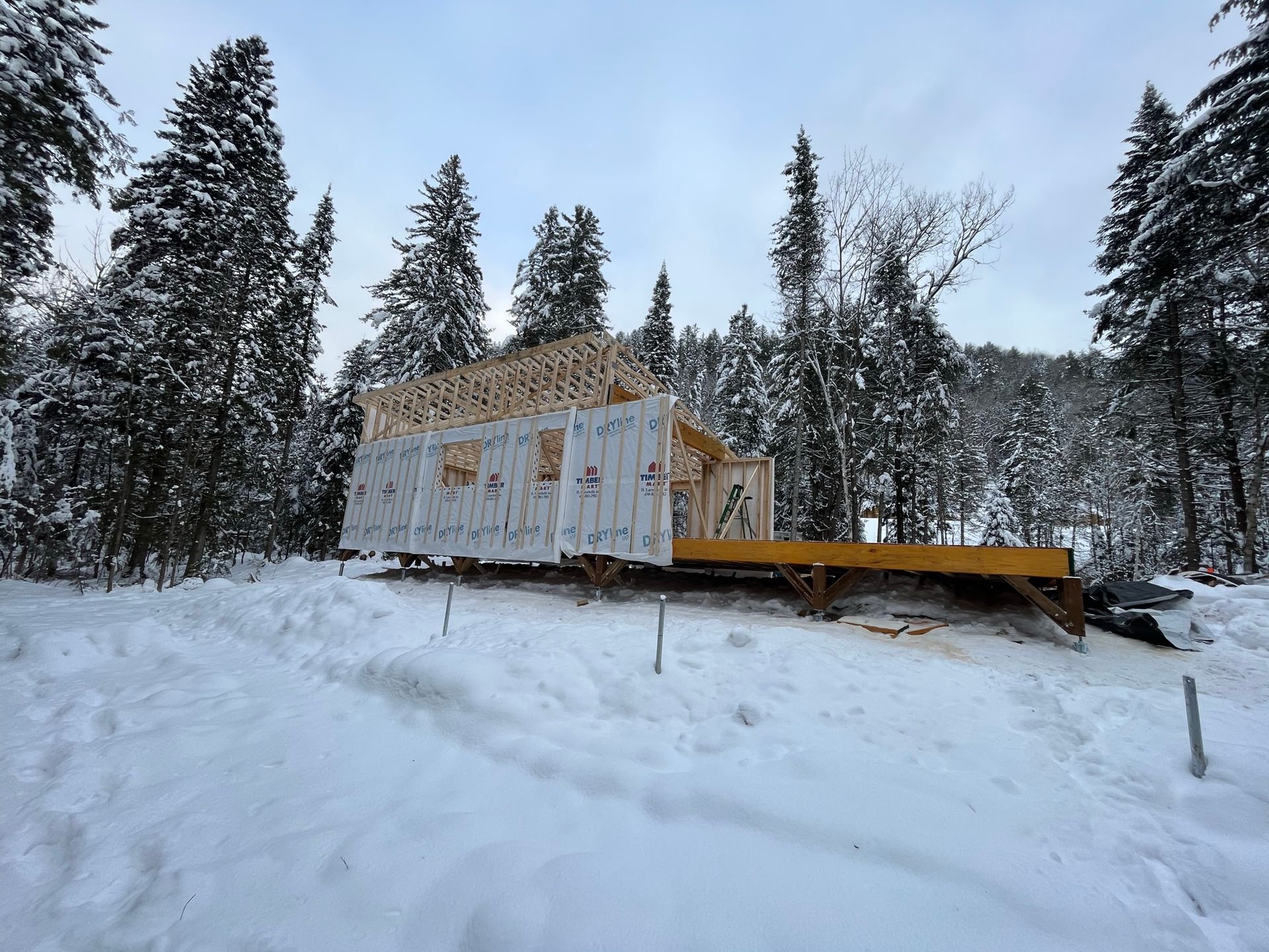 Une maison est en construction dans la neige au milieu d'une forêt.