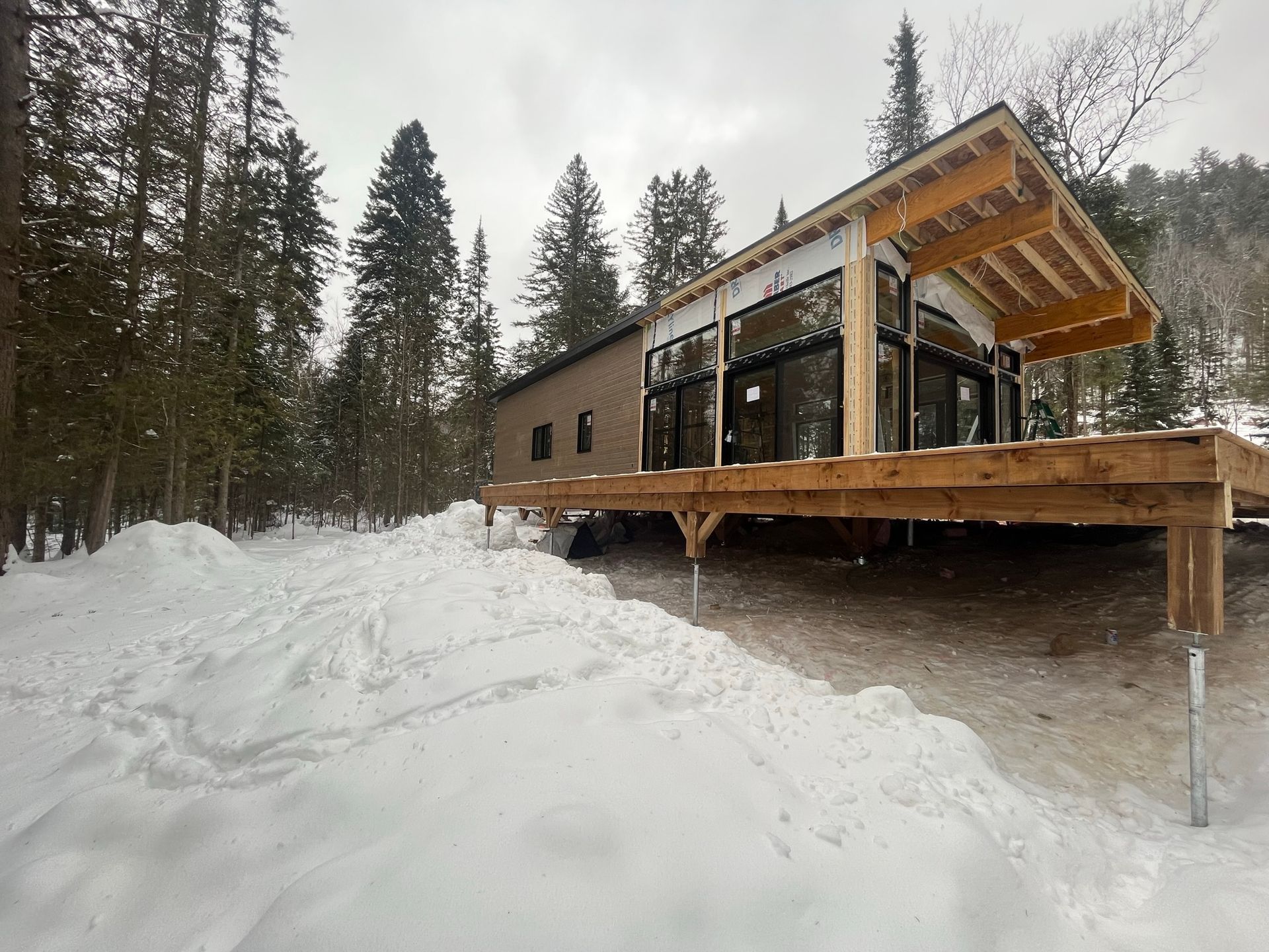 Une maison est assise au milieu d'une forêt enneigée.