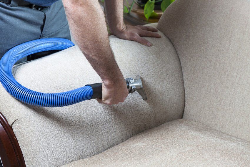 Cleaning Sofa