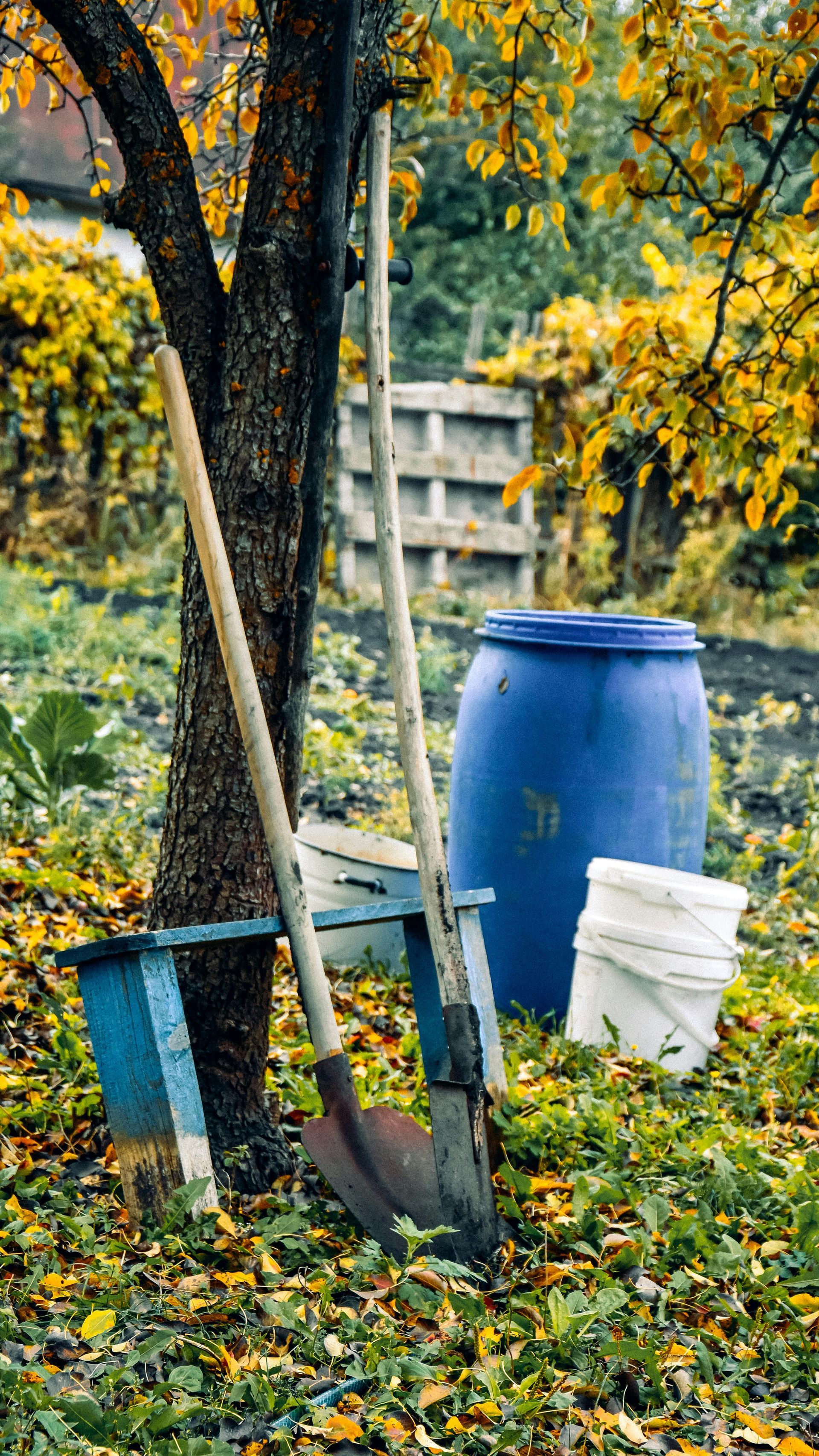 A shovel and bucket are sitting next to a tree in a garden.