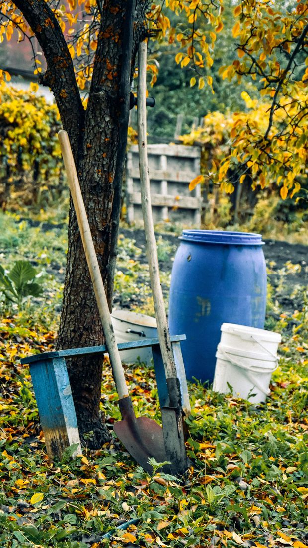 A shovel and bucket are sitting next to a tree in a garden.