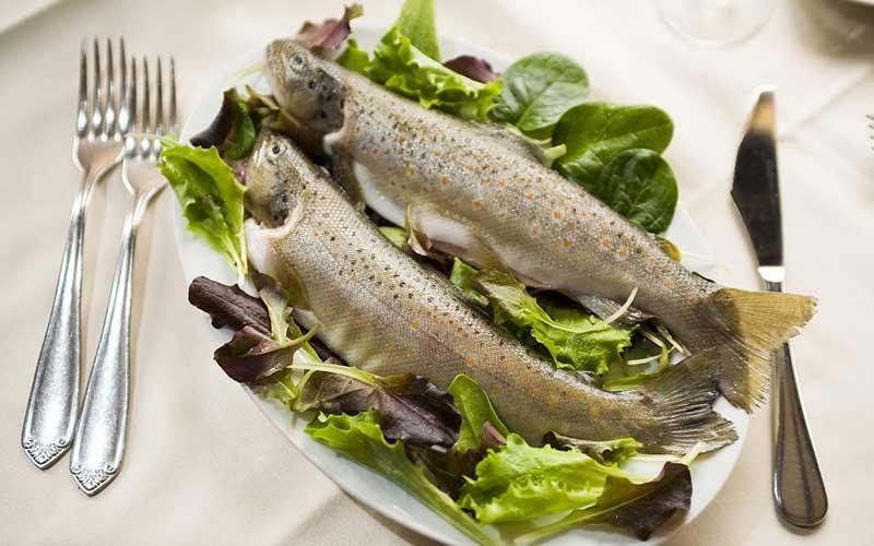 piatto con pesce su letto di insalata