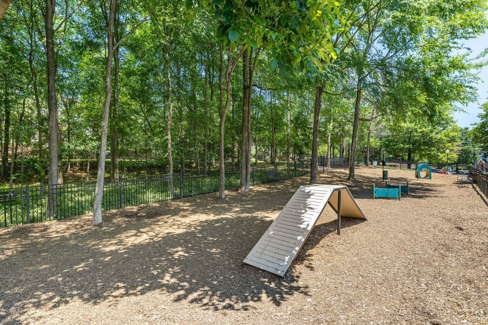 a dog park with a ramp and trees in the background at Marquis Carmel Valley in Charlotte, NC.
