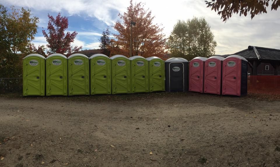 Row of green, gray, and pink portable toilets on dirt, with fall foliage in background.