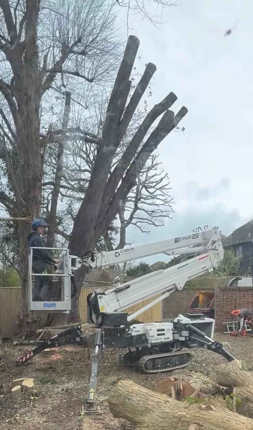 photograph happy customer with new Cela tracked spider boomlift mewp