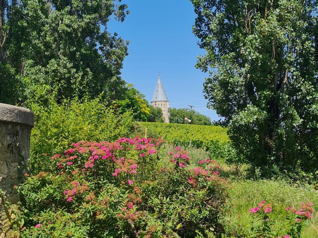 Panoramaweg Flörsheim am Main