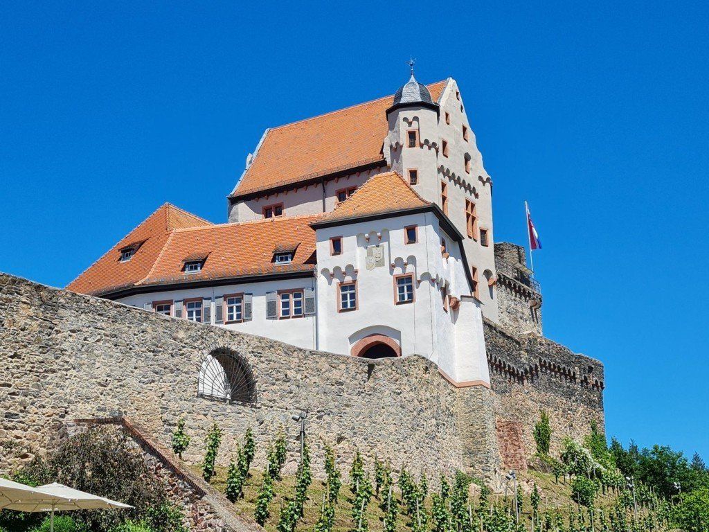 Alzenau Burg-Kahlauen-Gartenschaugelände