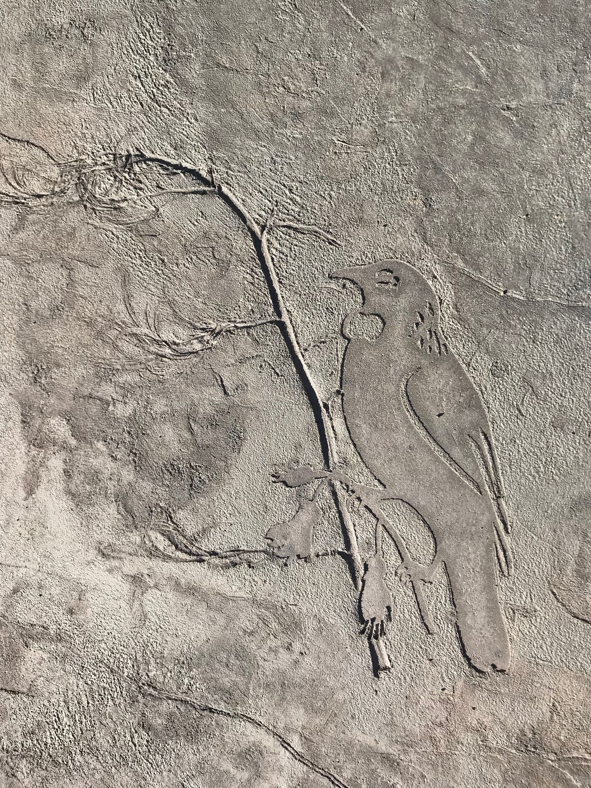 A close up of a rock with a few lines on it.