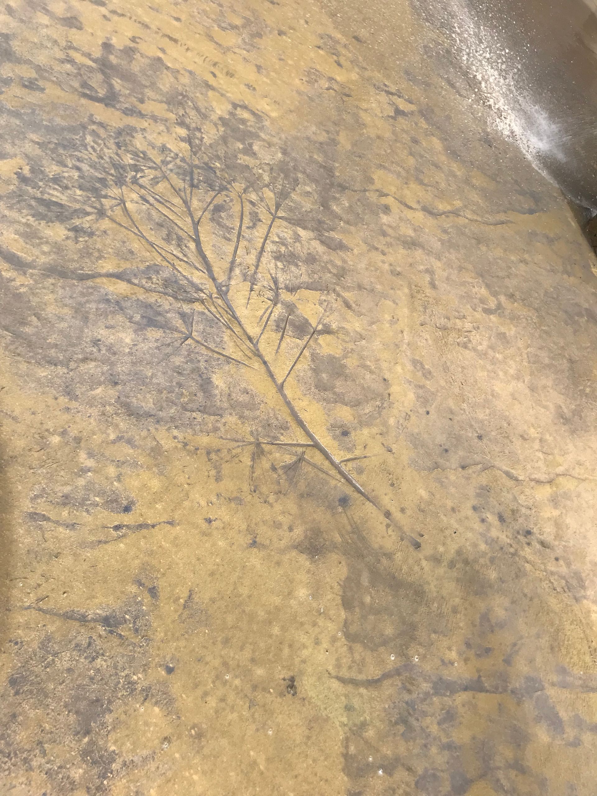 A close up of a dirty floor with a leaf on it.