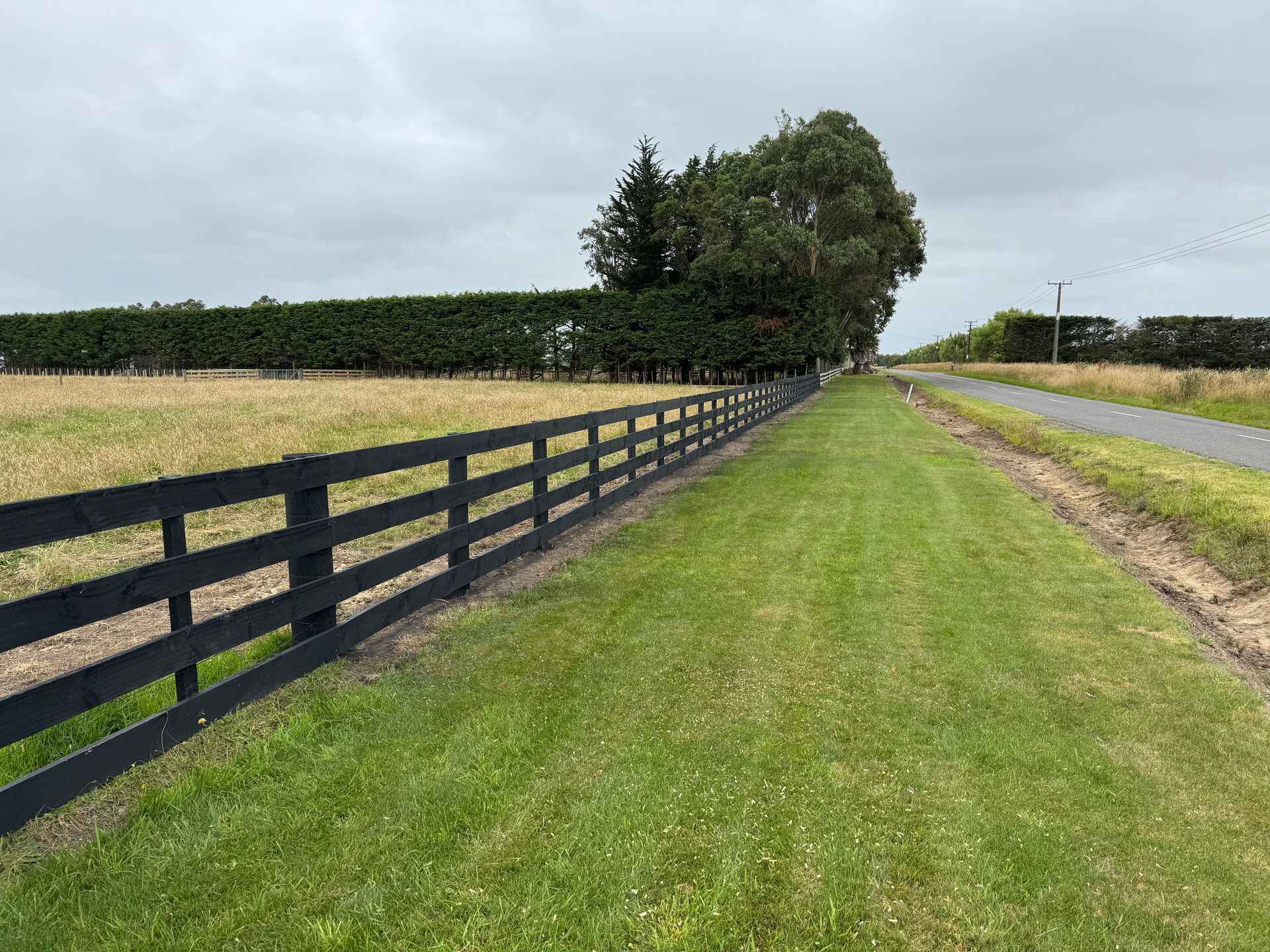 A black fence surrounds a grassy field next to a road.