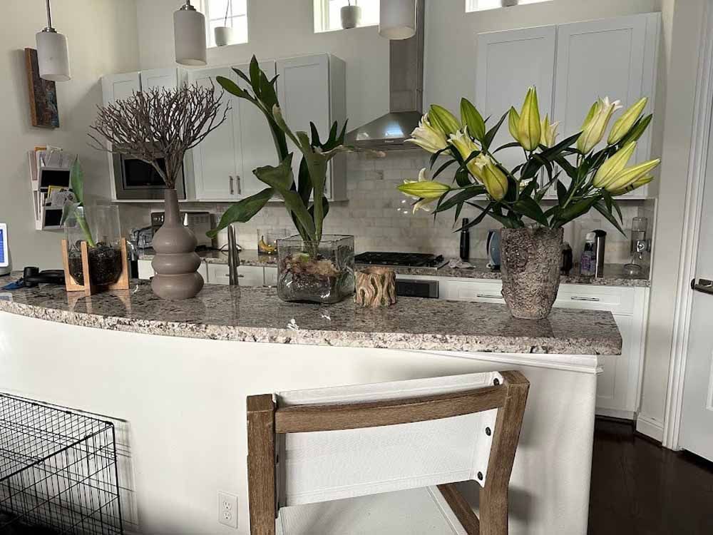 Kitchen counter with flowers, plants, and a partial view of a chair.